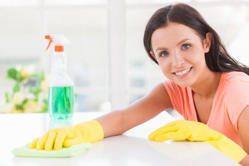 Professional carpet cleaning in an Enfield Town home