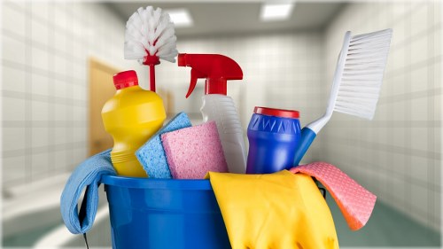 Carpet cleaning process in progress inside a property