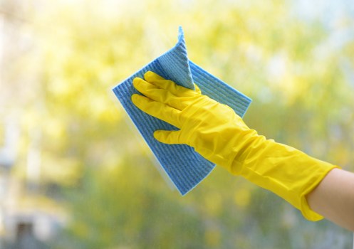 Maintaining a clean and fresh sofa after professional cleaning