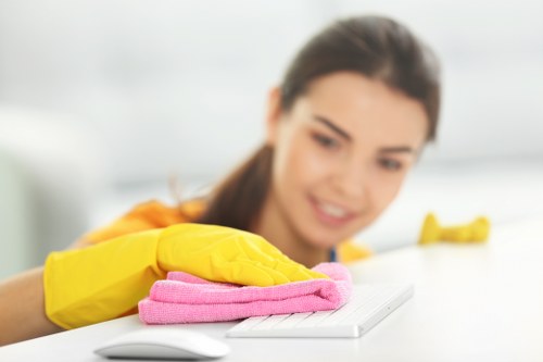 Professional carpet cleaning equipment in Enfield Town home