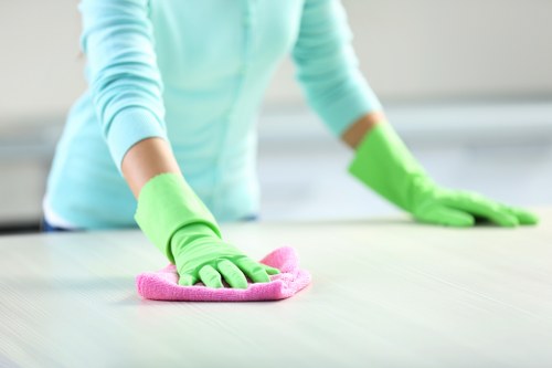 Cleaning methods for stubborn pet urine and odours in Enfield Town homes