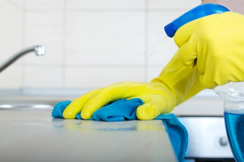 Local pet odour treatment for carpets, rugs, and furniture in Enfield Town