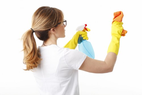 Review of a carpet cleaning complaint and inspection notes