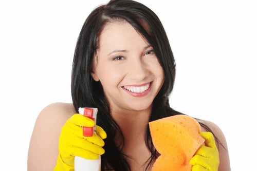 Carpet cleaning treatment for stubborn stains in Enfield Town